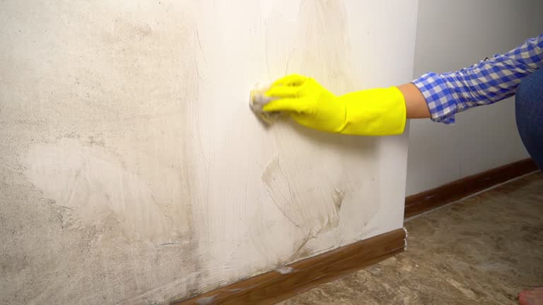 Best Residential Mold Inspection & Testing  in Pughtown, PA