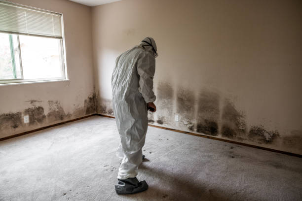 Best Industrial Mold Remediation  in Pughtown, PA